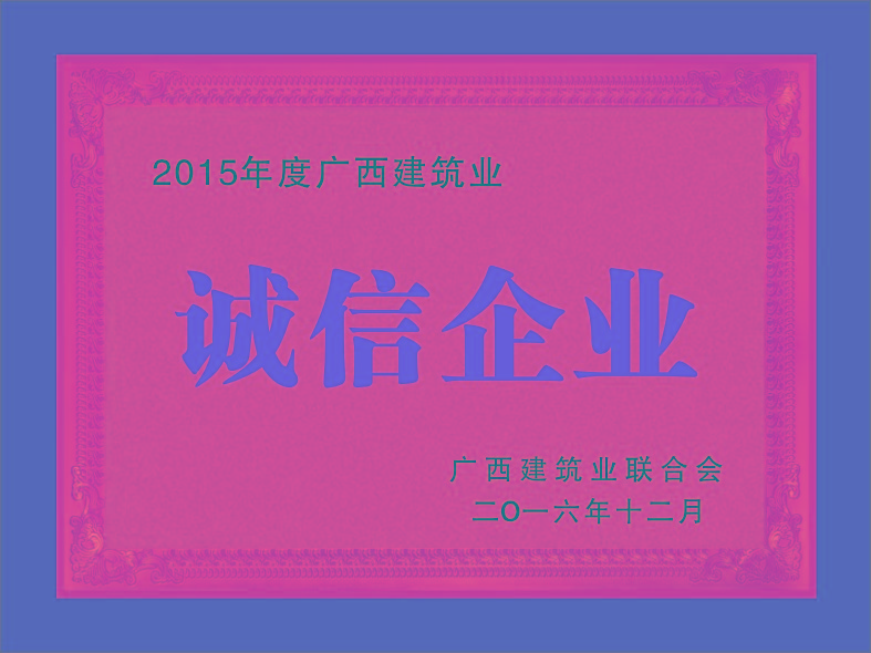 2015年度广西建筑业—----诚信企业